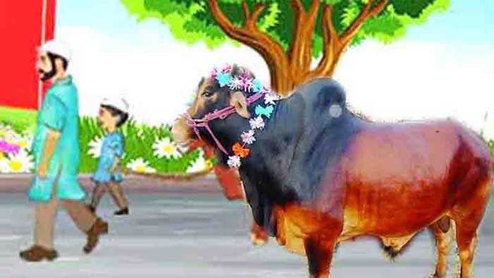 যাদের উপর কোরবানি ওয়াজিব