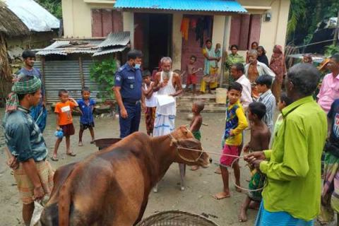 থানায় গরু, যত্ন নিচ্ছে পুলিশ