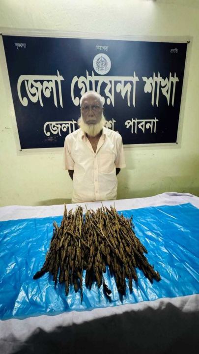 পাবনা জেলা গোয়েন্দা পুলিশের অভিযানে কেজি গাঁজা সহ একজন গ্রেফতার